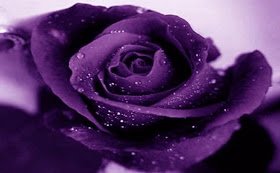 Erinta_Faundry's profile banner image