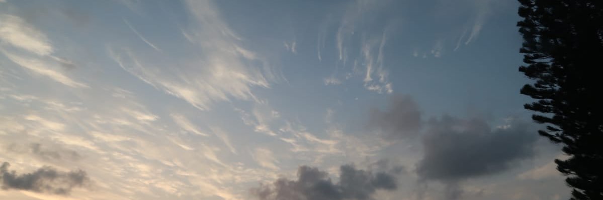 croldanz's profile banner image