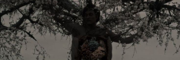 miaia .ೃ࿔'s banner