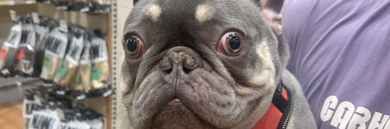 demimcallis's profile banner image