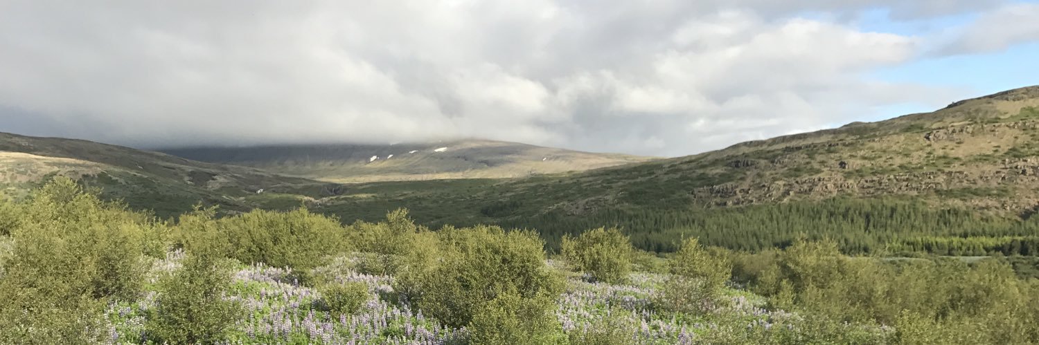 craiggors's profile banner image