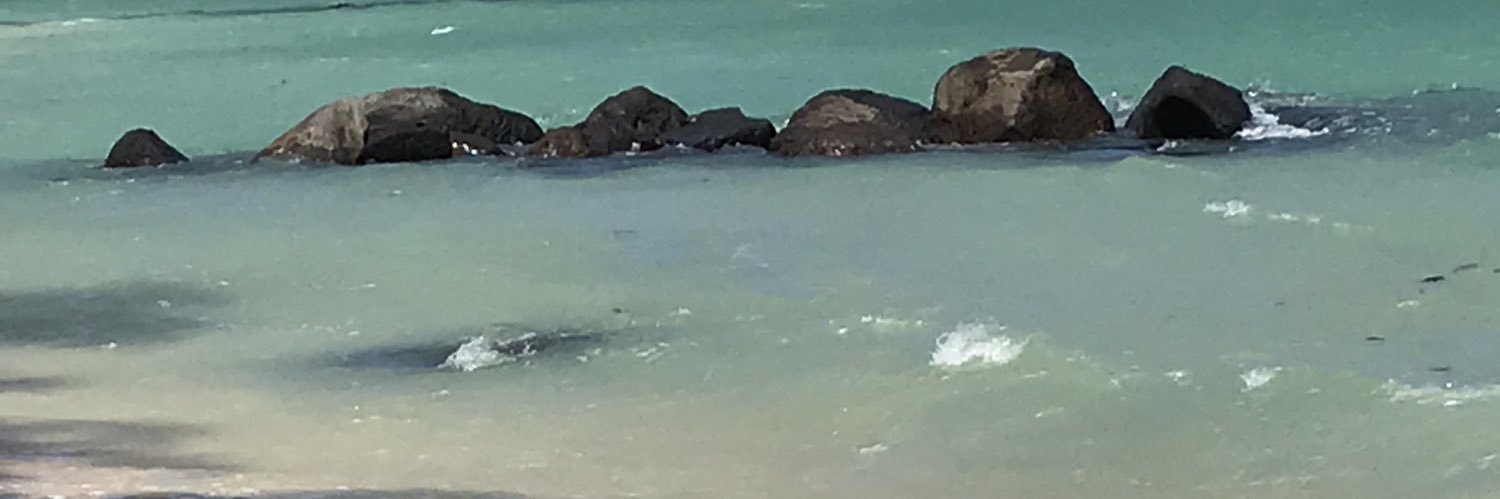 sandraBECKERS2's profile banner image