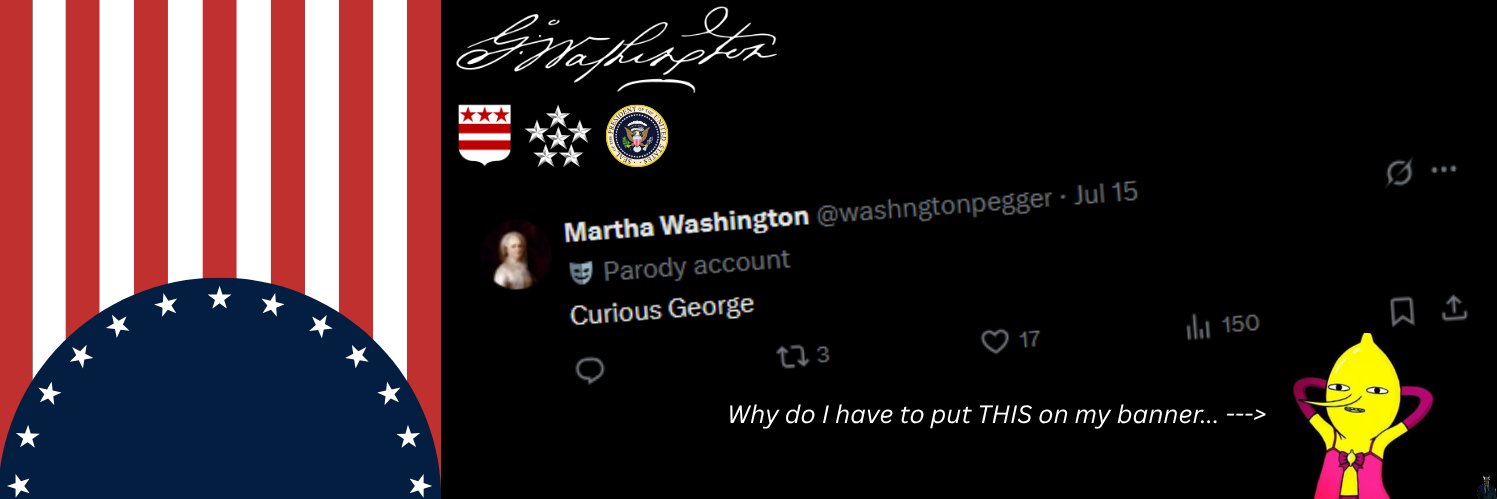 George Washington's banner