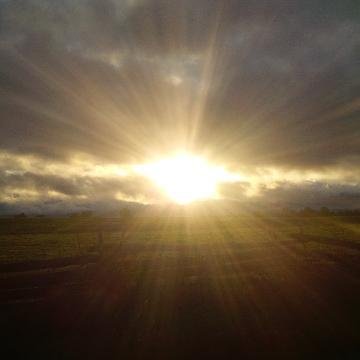 PinchHill's profile banner image