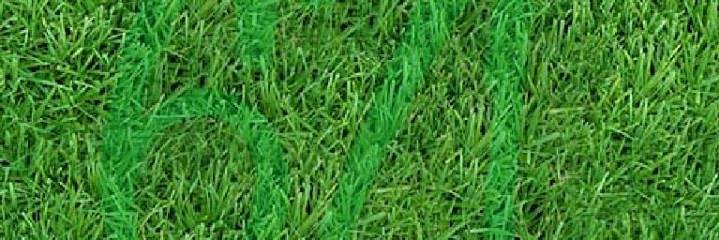 RonMavie's profile banner image