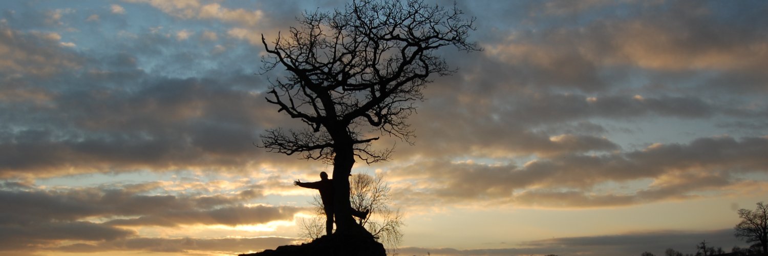 thetreehunter Rob McBride banner