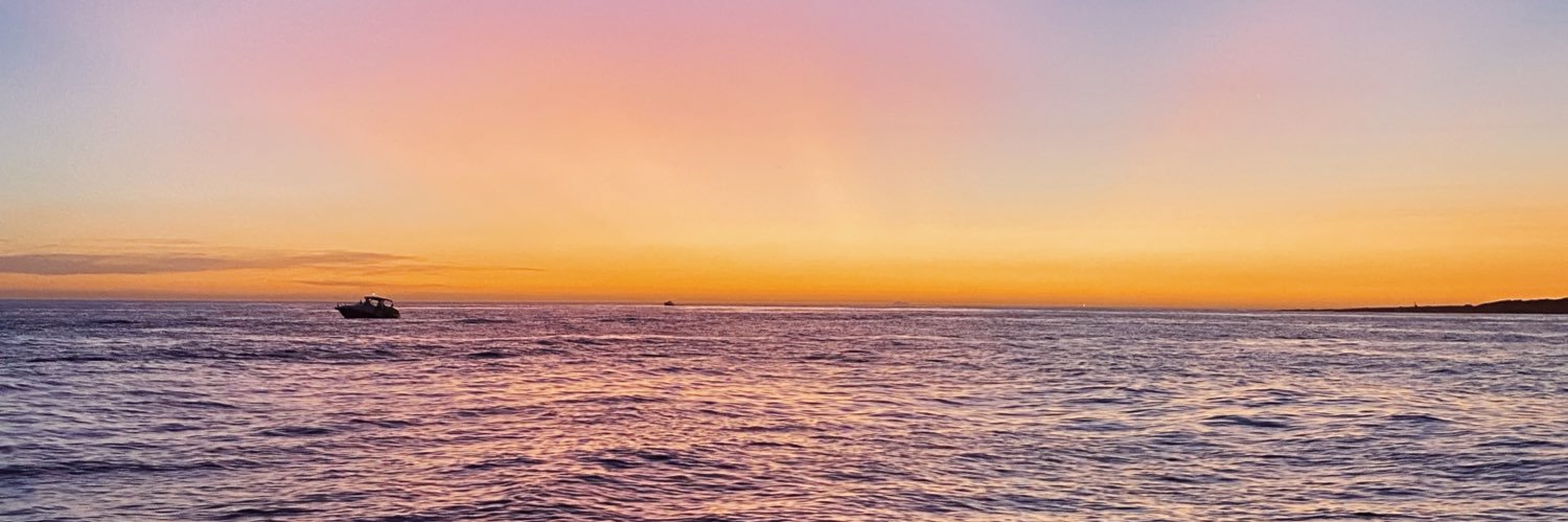 nperel_'s profile banner image