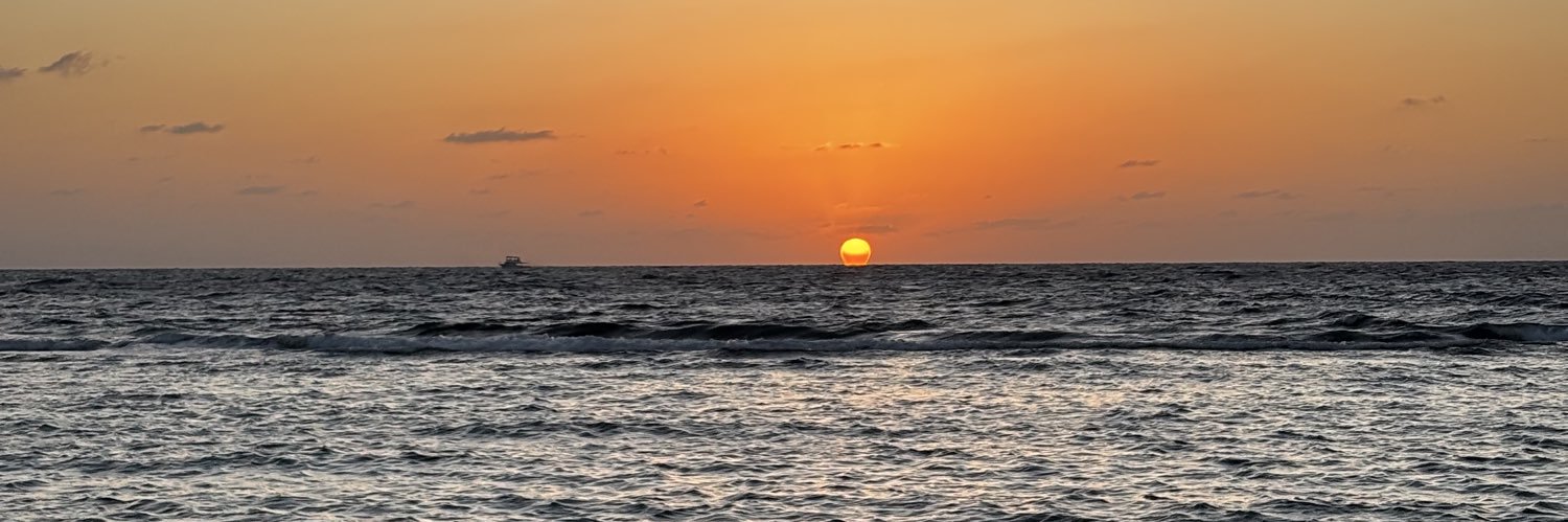 أسيل banner