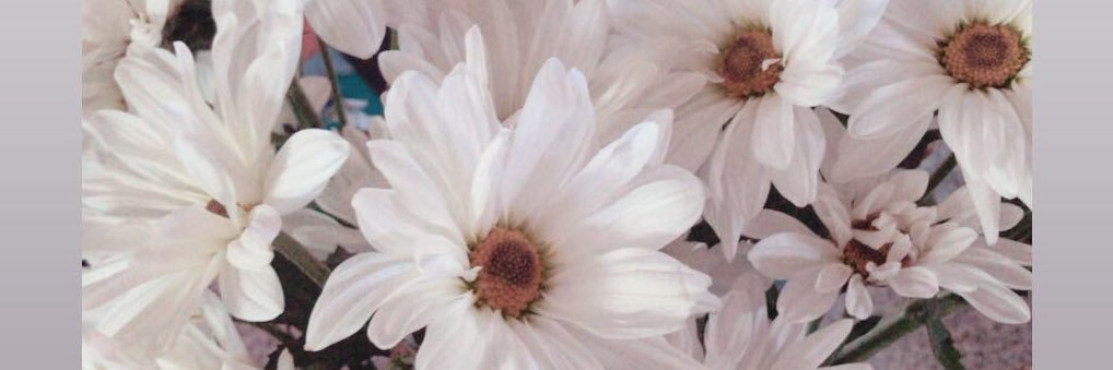afrodescndiente's profile banner image