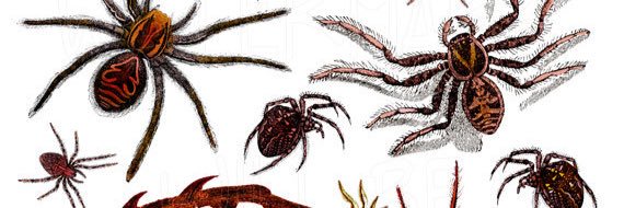 BathroomSpiders's profile banner image