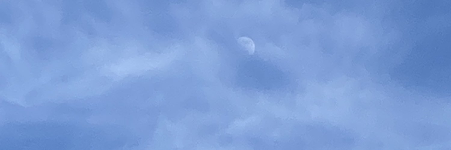 Rosy_vx2's profile banner image