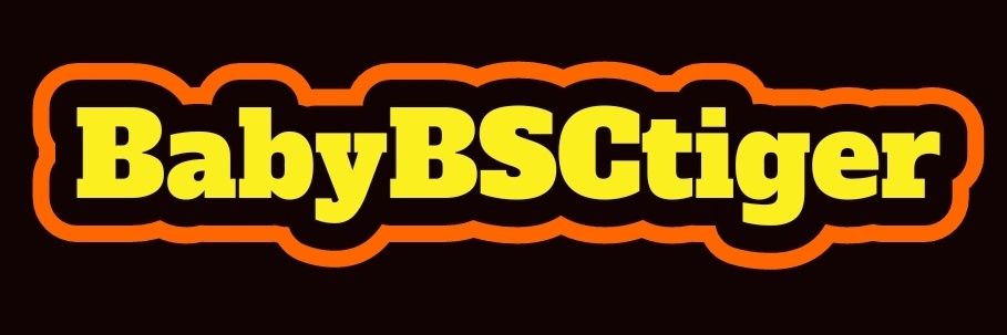 BabyBSCtiger's profile banner image