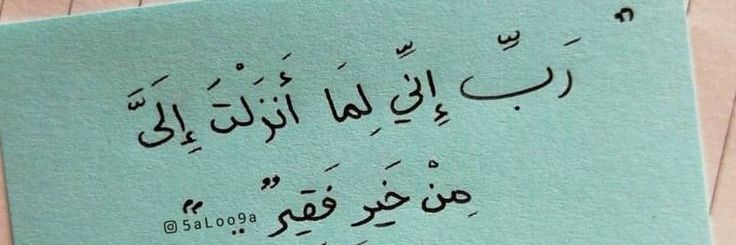 🌸 W A 🌸 banner