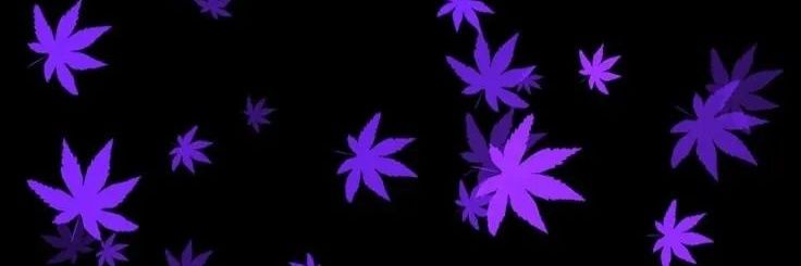 Nibiruk666's profile banner image