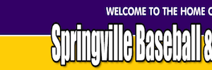 springvillebb's profile banner image