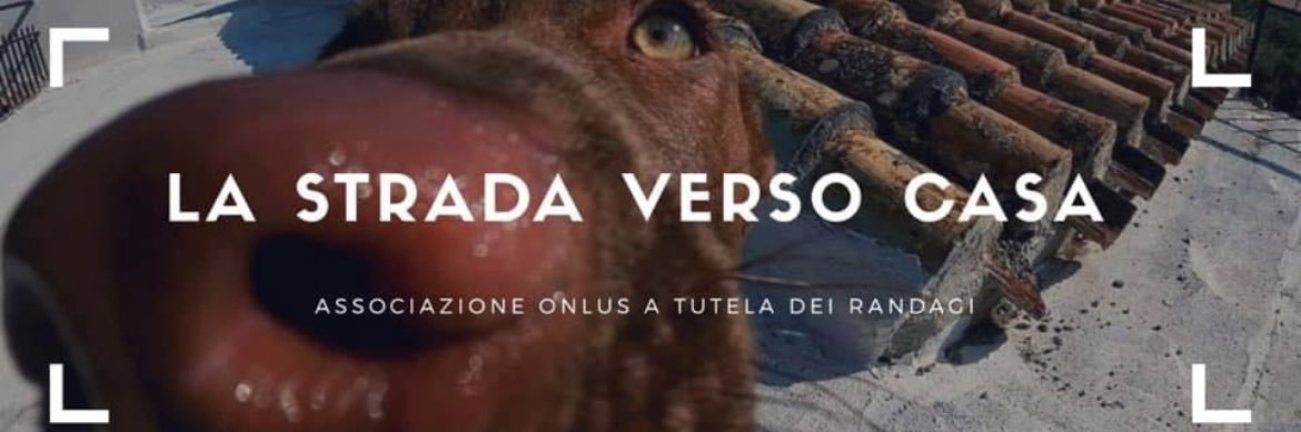 lastradacasa's profile banner image
