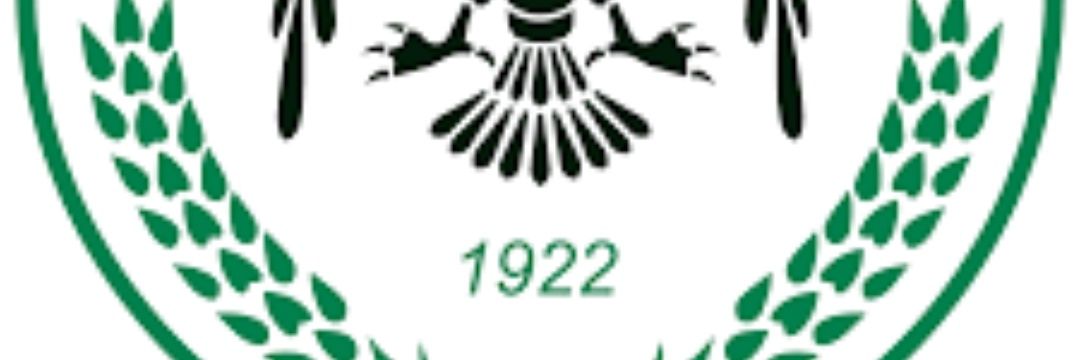 ROPSAYNOK💚🤍 banner