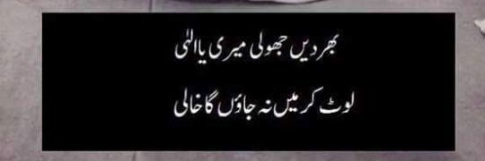 rabia562's profile banner image