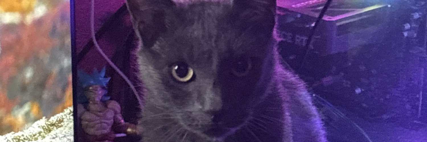 blake 🏳️‍⚧️ banner