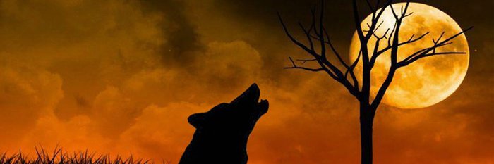 SaLoTuRkA's profile banner image