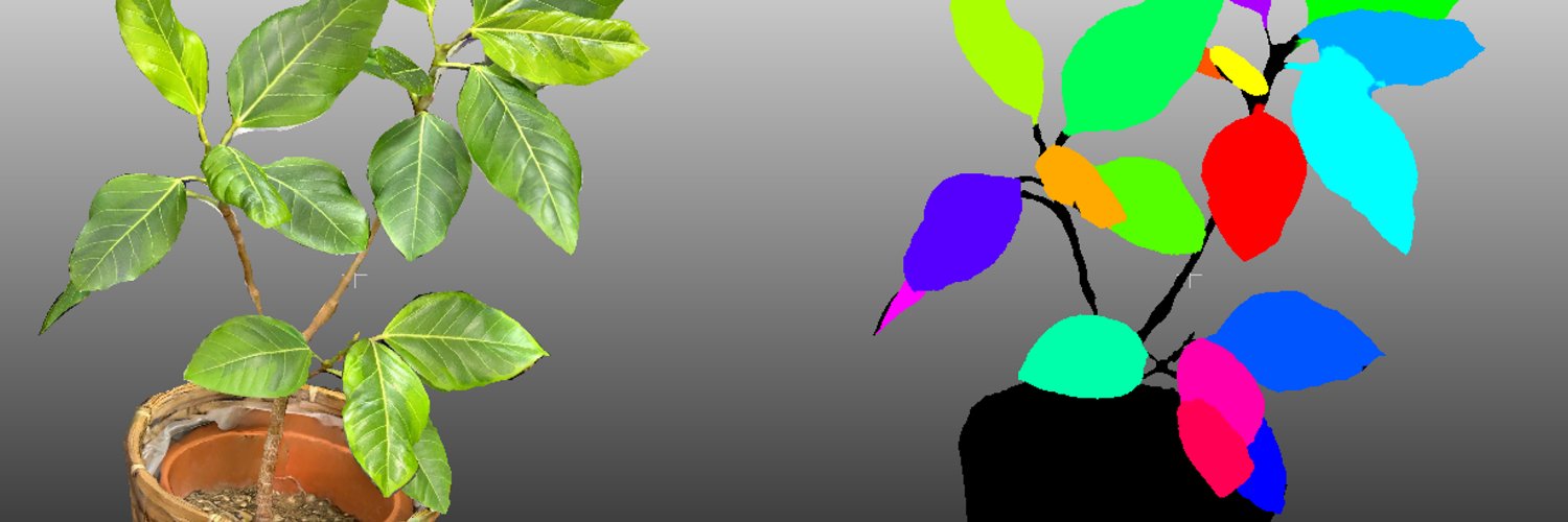 Kenta@ImVisionLabs Inc. banner