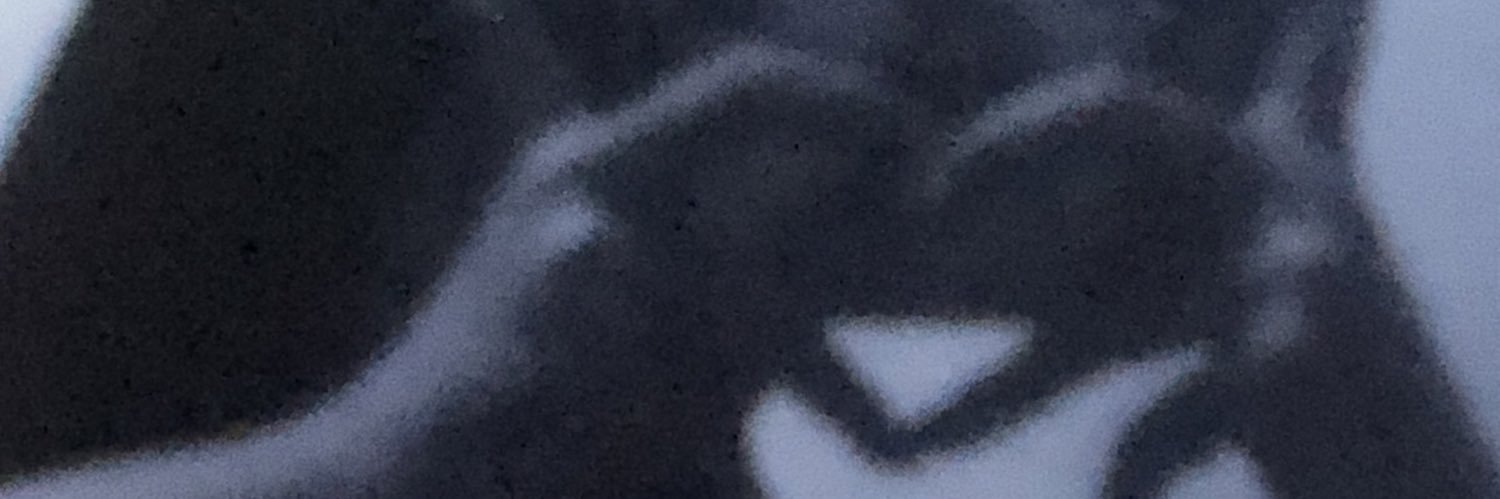 piipaaww's profile banner image