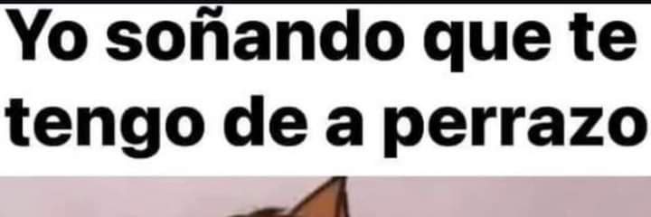 angyferhuehue1 banner