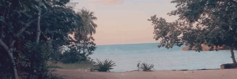 queenxchels's profile banner image