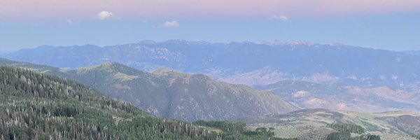 kody_uf Profile Banner
