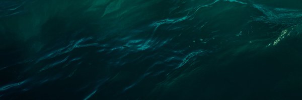swartz_et Profile Banner