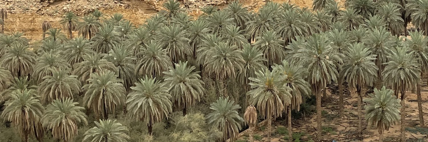 أنواري أجرح وأداوي banner