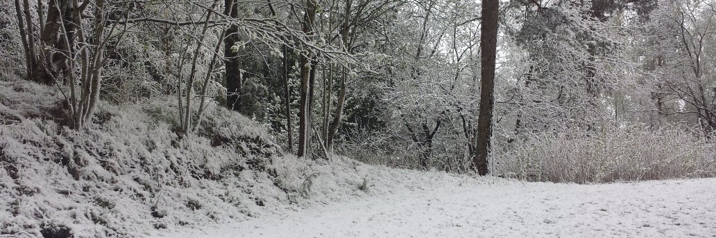 Dag-Erling Smørgrav banner