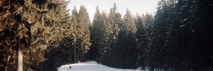 aycagifs's profile banner image