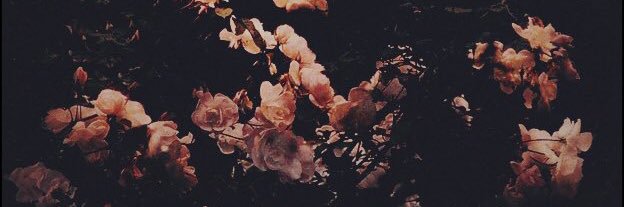 fooIishbravery's profile banner image