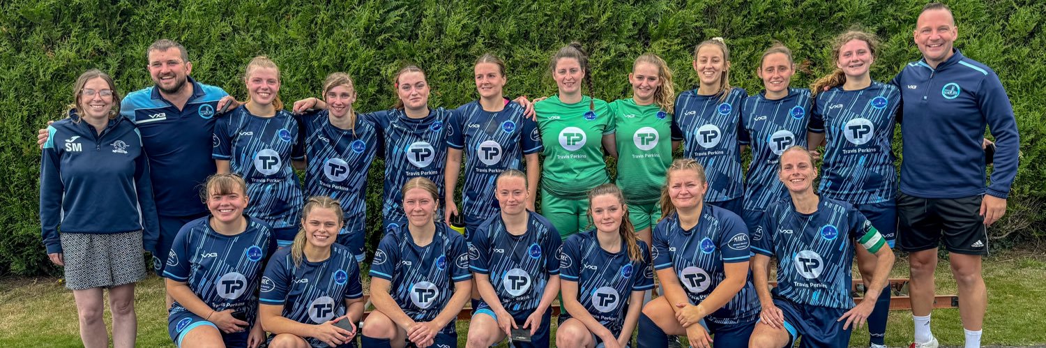 Ilminster Ladies FC banner