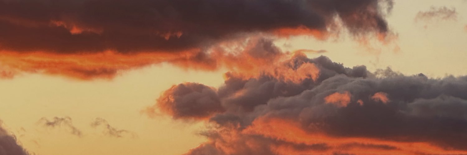 ali sanu banner