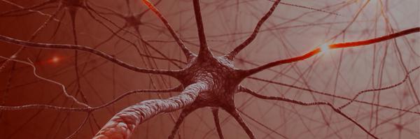 CY_Hand Profile Banner