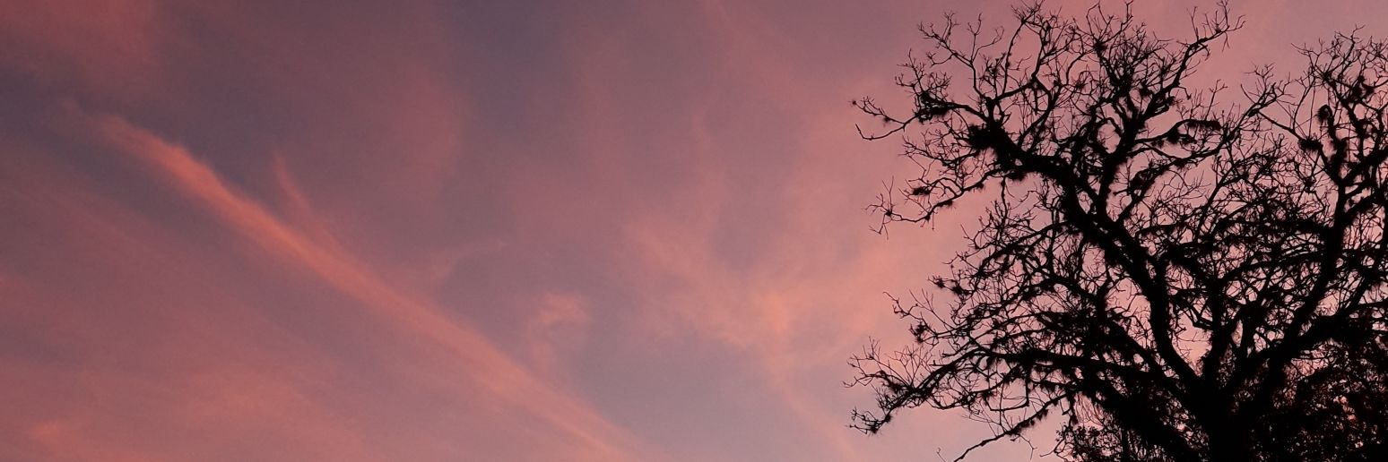 AnilecDiart's profile banner image