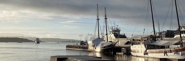 coldgorlfever Profile Banner