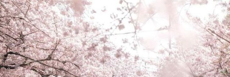 Kitttyuvvu's profile banner image