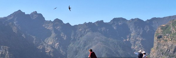 julianlewo Profile Banner