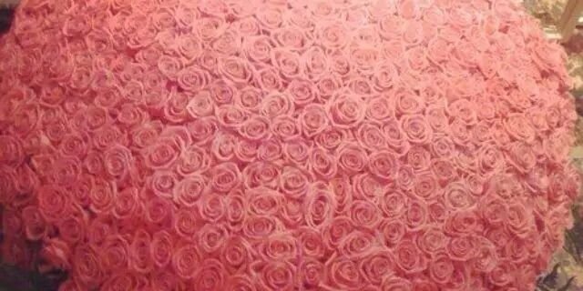 lynnelings's profile banner image