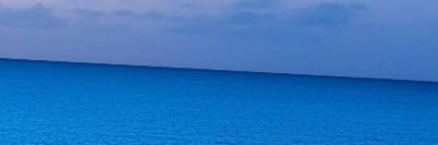 Fernando 🦈 banner