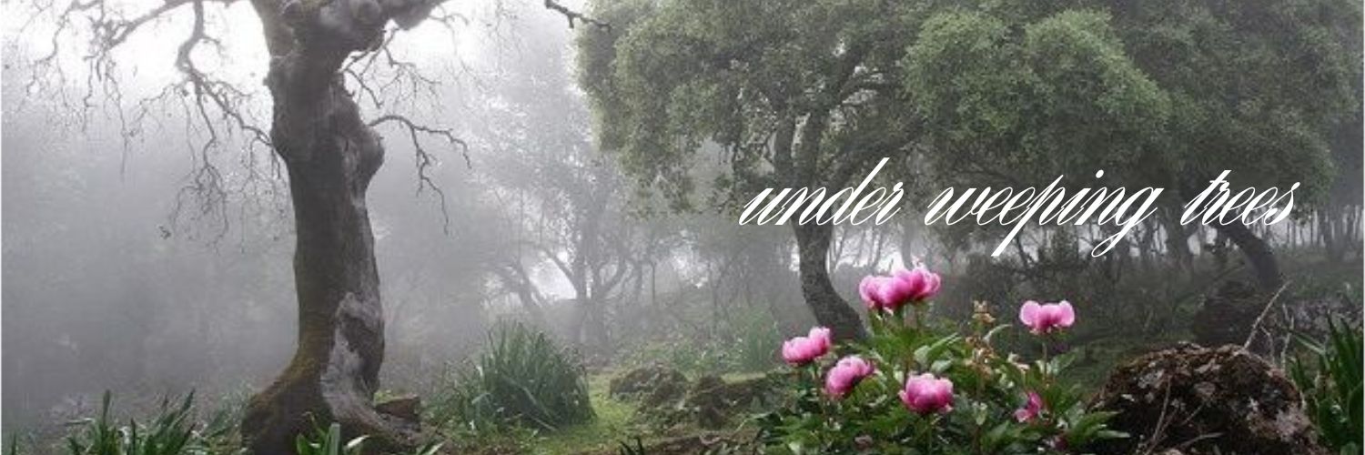syl banner