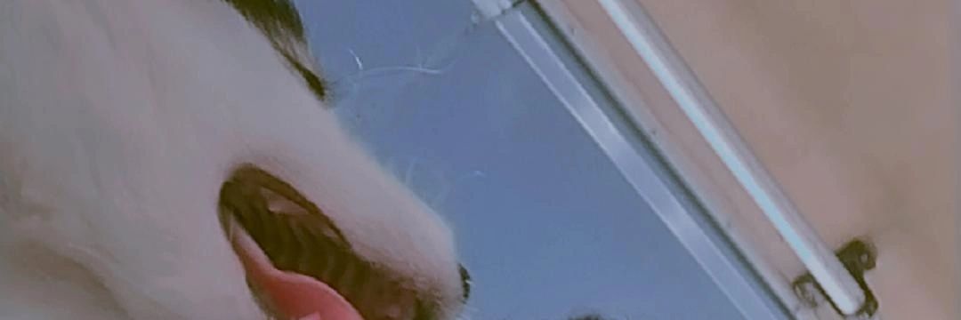 JeremyPere5's profile banner image