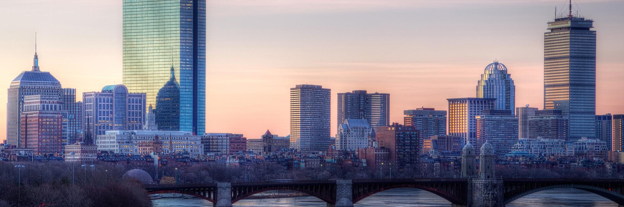 BeantownCats's profile banner image