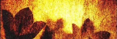 Addii_!! banner