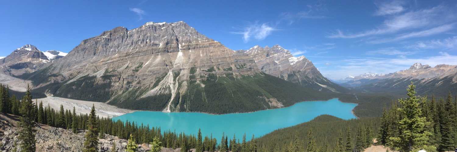 Andrew Heimert banner