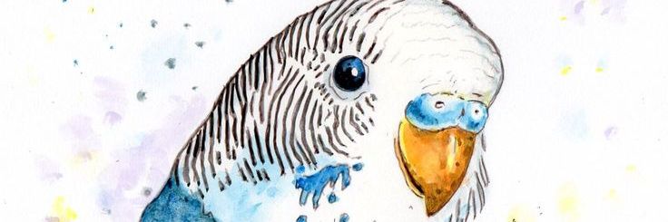 Argentina _Sgo banner