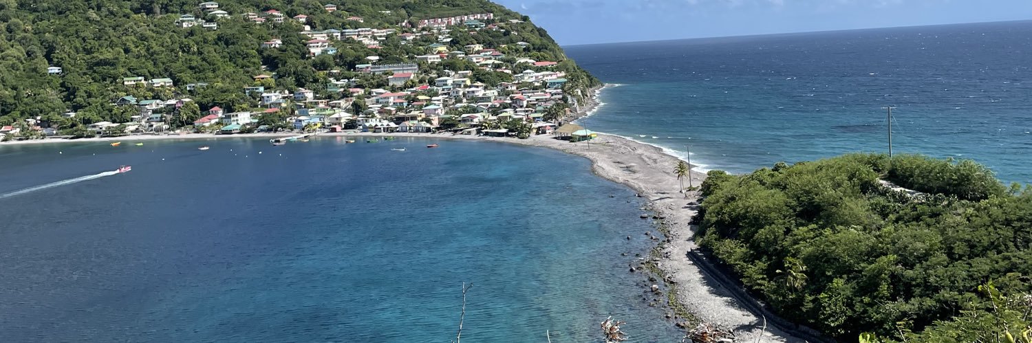 Tvzz_fwi 🇲🇶 banner